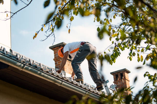 Best Roof Maintenance Services  in Princeton Meadows, NJ